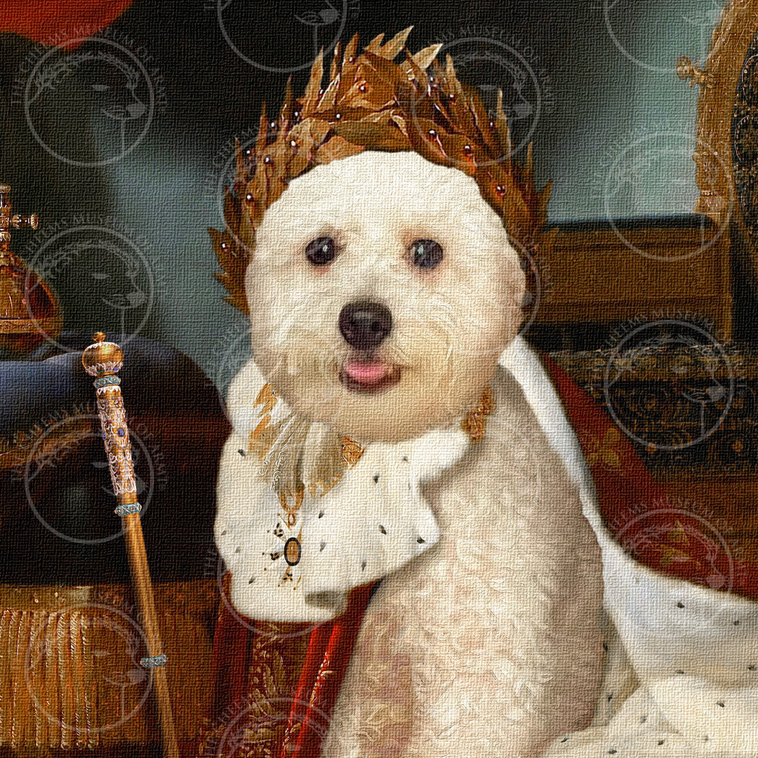 The Emperor - Pet Gallery