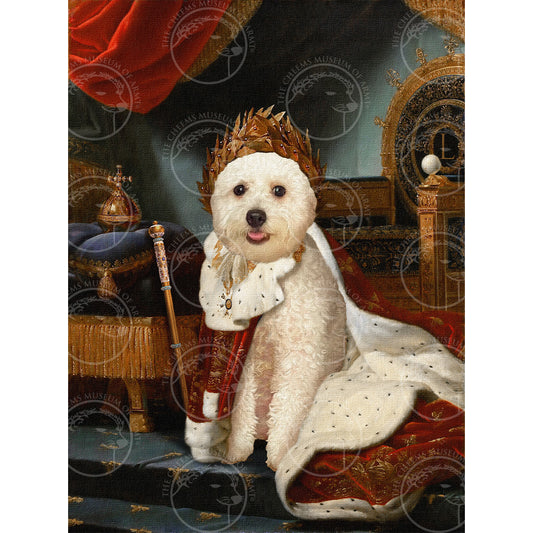 The Emperor - Pet Gallery