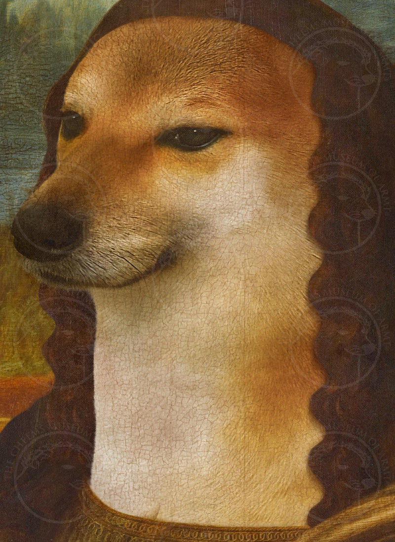 "Momna Limsa" - Canvas