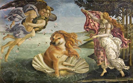 "The Birmth of Vemnus" - Canvas